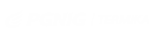 pgnig